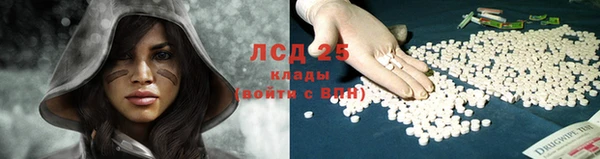 спиды Козловка