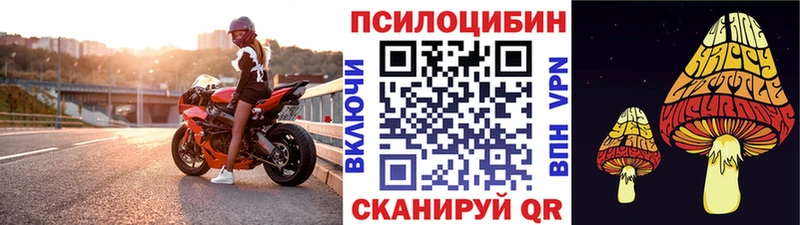 Галлюциногенные грибы Psilocybine cubensis  Мещовск 